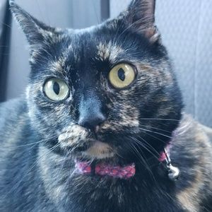 Meet your Posher, Amber